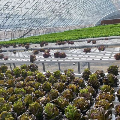패키지 총중량 100.000kg 햇빛 온실 滴灌 꽃 심기