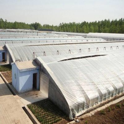 2000.000kg 패키지 총중량 첨단 채소 재배 태양광 온실 시스템