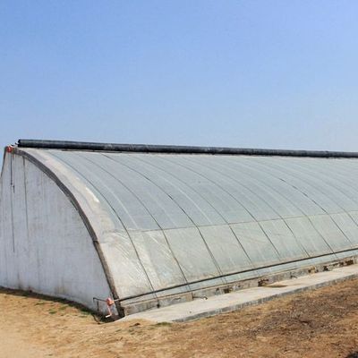 2000.000kg Juxiang의 상업용 햇빛 온실 딸기 재배 jx-sg-108