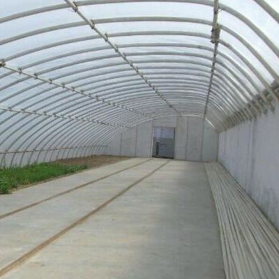 2000.000kg Juxiang의 상업용 햇빛 온실 딸기 재배 jx-sg-108