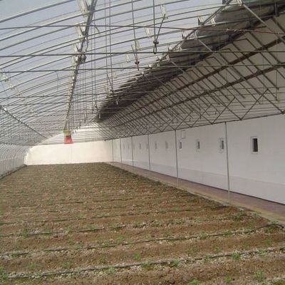 2000.000kg 토마토와 오징어 재배 태양광 온실 솔루션