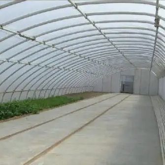 2000.000kg 토마토와 오징어 재배 태양광 온실 솔루션