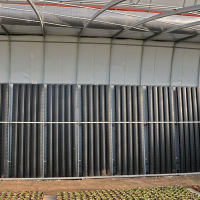 2000.000kg 토마토와 오징어 재배 태양광 온실 솔루션