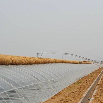 첨단 채소 재배 햇빛 온실 40HQ 우수한 리퍼 컨테이너