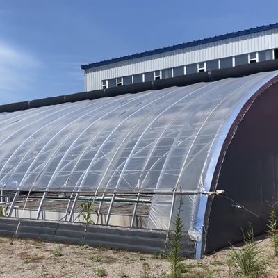 첨단 채소 재배 햇빛 온실 40HQ 우수한 리퍼 컨테이너