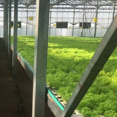 수직 농업 수직 농업 수직 농업 수직 농업 수직 농업 수직 농업