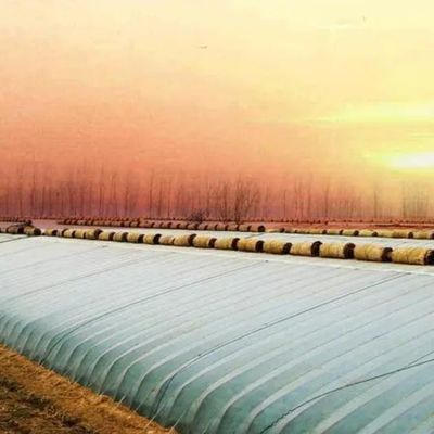 패키지 총 무게 2000.000kg 가벼운 햇빛 온실 채소 재배