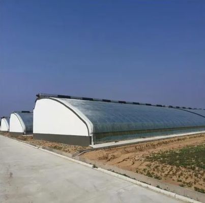 패키지 총 무게 2000.000kg 가벼운 햇빛 온실 채소 재배