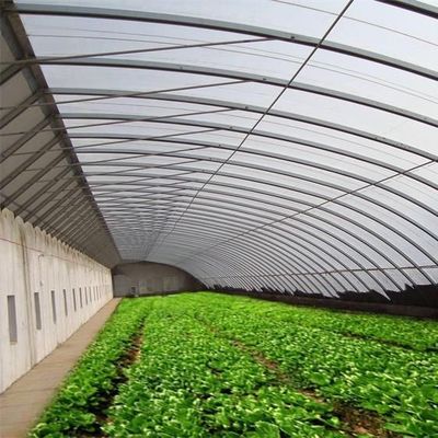 패키지 총 무게 2000.000kg 가벼운 햇빛 온실 채소 재배