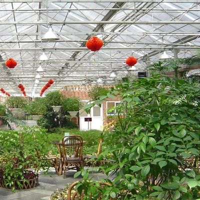 외계 그림자 시스템과 함께 Venlo 타입 유리 온실 사용자 정의
