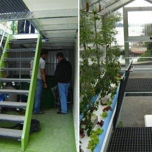 높은 습도 수직 농장 수식 컨테이너 온실 채소