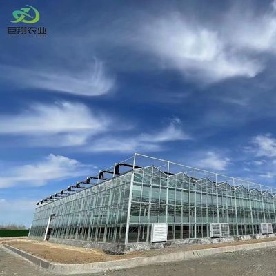 미국 화폐 Juxiang 농업 Nft 수식 시스템 채소용 유리 온실