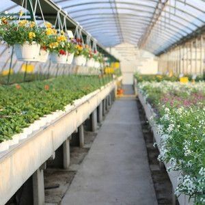 농장 필름 온실 패키지용 다단계 수식 시스템 총 무게 2000.000kg