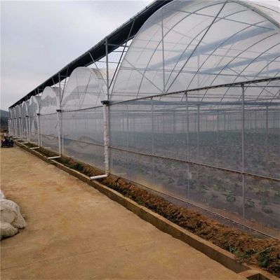 농장 필름 온실 패키지용 다단계 수식 시스템 총 무게 2000.000kg