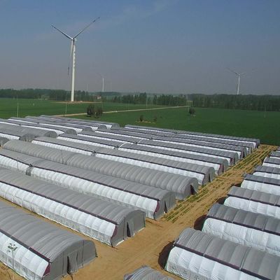농장 필름 온실 패키지용 다단계 수식 시스템 총 무게 2000.000kg