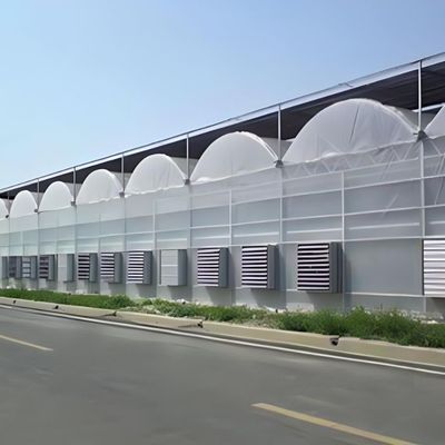 농장 필름 온실 패키지용 다단계 수식 시스템 총 무게 2000.000kg