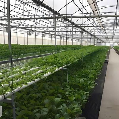 농장 필름 온실 패키지용 다단계 수식 시스템 총 무게 2000.000kg