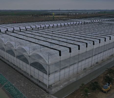 심기 재배 주시앙 수식 농장 필름 온실 사용자 지정 요청