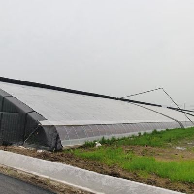 핫-DIP 가로화 된 철강 파이프 구조 터널 재배 방법 태양열 온실