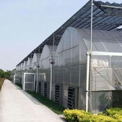 필요 에 맞게 조성 된 채소 와 꽃 을 위한 사용자 정의 할 수 있는 수식 시스템