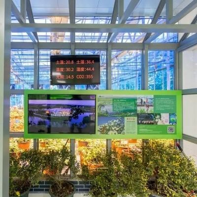 Juxiang 시트 PC 보드 하이드로폰식 성장 시스템을 위한 녹색 집 딸기 맞춤