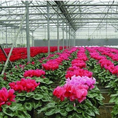 미국 단일 아치 수소농조 온실 펠퍼 생산 패키지 총 무게 2000.000kg