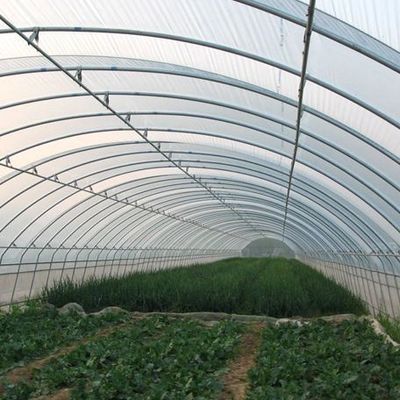 미국 단일 아치 수소농조 온실 펠퍼 생산 패키지 총 무게 2000.000kg