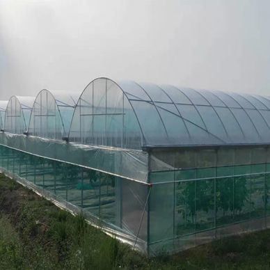 미국 단일 아치 수소농조 온실 펠퍼 생산 패키지 총 무게 2000.000kg