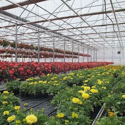 2000.000kg 패키지 총중량 채소 재배용 방수 안개 필름 온실