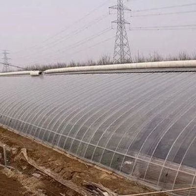 1209cm * 235cm * 239cm 패키지 크기 토마토와 호두 농장의 온실