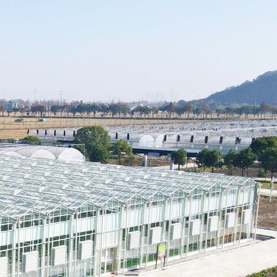 맞춤형 수산식품 채소농업 솔루션을위한 다기능 유리 온실