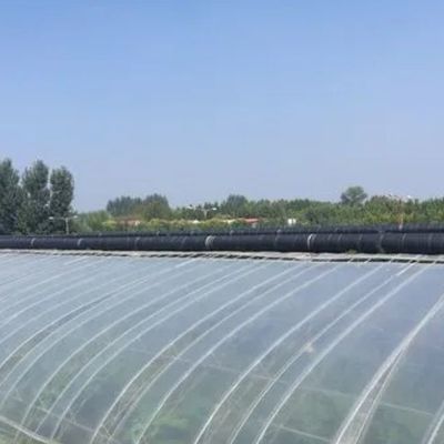 사용자 정의 옵션 Juxiang Hydroponic 시스템 채소 재배 필름 온실
