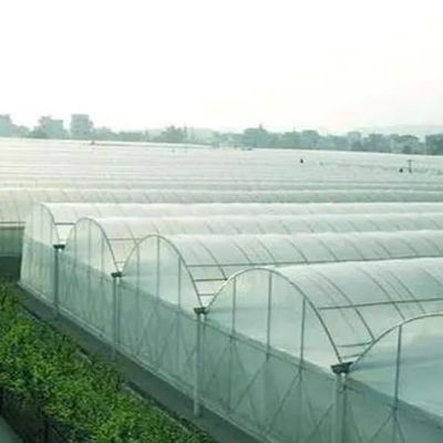 사용자 정의 옵션 Juxiang Hydroponic 시스템 채소 재배 필름 온실