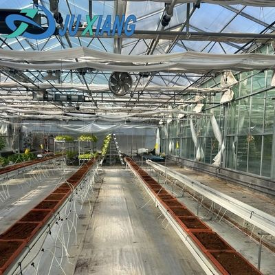 적절한 지능형 정원 유리 프레임 농업 온실 판매 100.000kg 총 무게