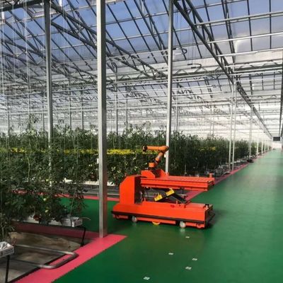 적절한 지능형 정원 유리 프레임 농업 온실 판매 100.000kg 총 무게