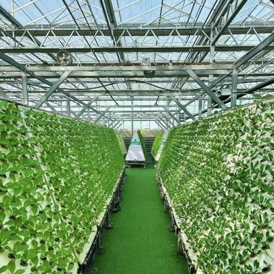 적절한 지능형 정원 유리 프레임 농업 온실 판매 100.000kg 총 무게
