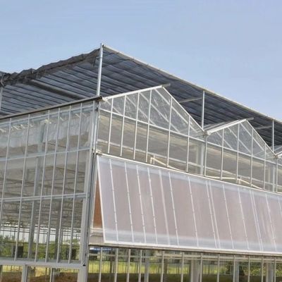 미국 Hot DIP Galvanized Steel Multi Span Glass 온실 50.00cm * 60.00cm * 80.00cm