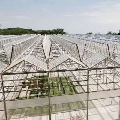 미국 Hot DIP Galvanized Steel Multi Span Glass 온실 50.00cm * 60.00cm * 80.00cm