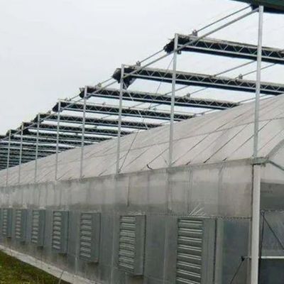 2000.000kg 패키지 총중량 듀얼 아크 온실용 싱글 판 수식 시스템
