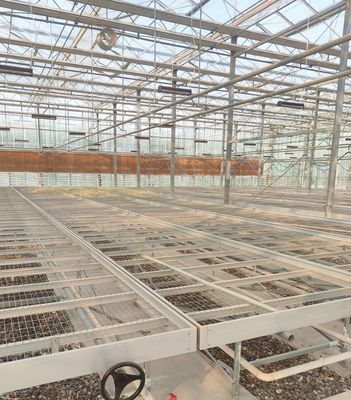 하이드로포닉스 (Hydroponics) 아치형 지붕과 멀티 스펜 디자인으로 구성된 스트롬 습도 조절 온실
