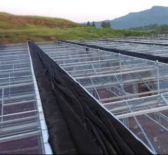 하이드로포닉스 (Hydroponics) 아치형 지붕과 멀티 스펜 디자인으로 구성된 스트롬 습도 조절 온실
