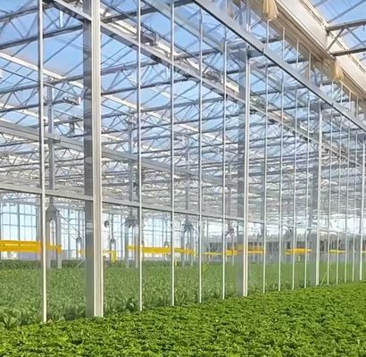 하이드로포닉스 (Hydroponics) 아치형 지붕과 멀티 스펜 디자인으로 구성된 스트롬 습도 조절 온실