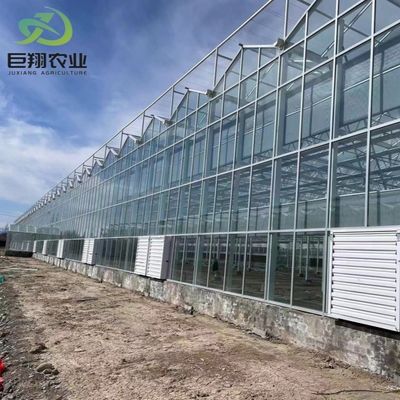 3m-8m 에브스 높이 수식식 시스템과 함께 멀티 스판 베놀 유리 온실