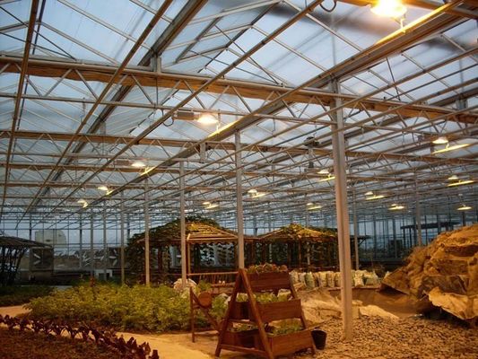 토마토 오징어 라투스 재배 시스템 총 무게 2000,000kg 요청 맞춤화
