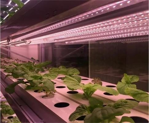 2000.000kg 물 스프레이어 제어 환경 심기 / 채소 / 과일 / 꽃