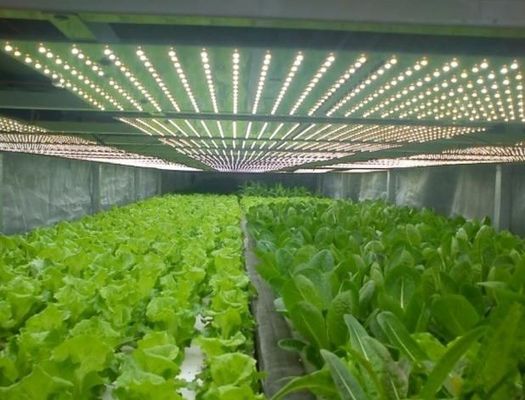 2000.000kg 물 스프레이어 제어 환경 심기 / 채소 / 과일 / 꽃