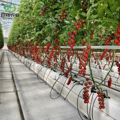 맞춤형 필름 두께 농업용 플라스틱 필름 수공학 온실