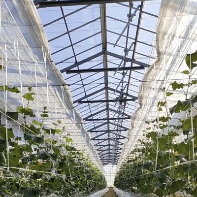 상용 온실 수식 시스템 맞춤화 및 합리적인 가격
