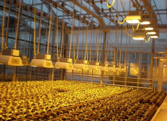 빗 커튼 제어 조명 온실 2000,000kg 패키지 총 무게