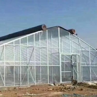 맞춤형 요청 생산 온실 농업 다단계 플라스틱 터널 필름